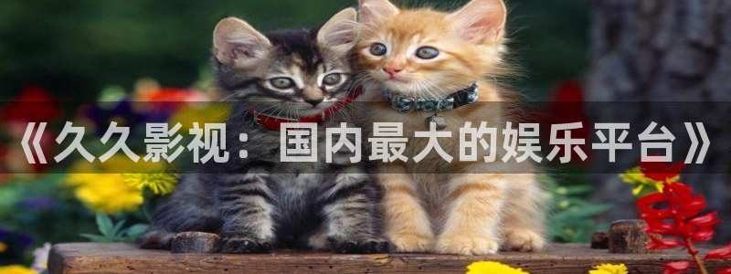 大海影视官网下载