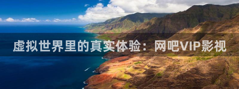 蓝蓝的天空像一片美丽的大海：虚拟世界里的真实体验：网吧VIP影视