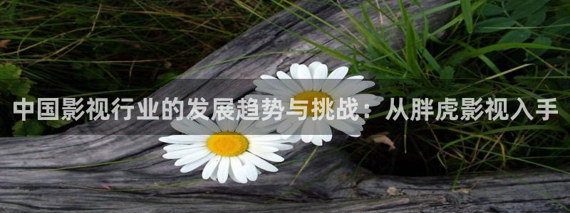 大海影院在线观看：中国影视行业的发展趋势与挑战：从胖虎影视入手