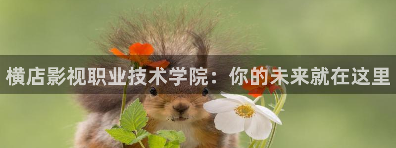 大海影视在线播放电影
