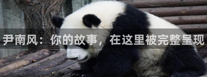 大海影视官网在线观看：尹南风：你的故事，在这里被完整呈现