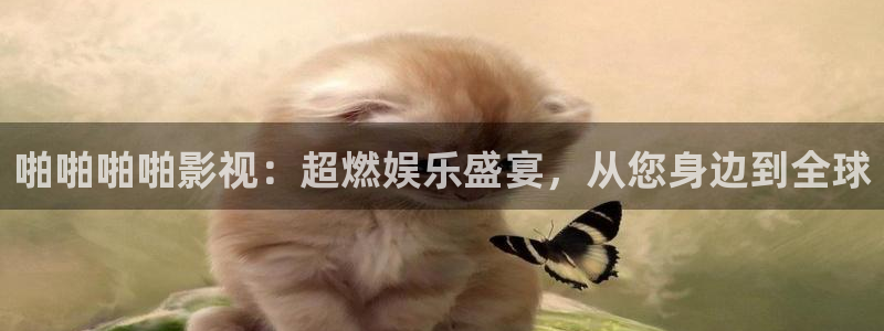 《大海影视》免费观看：啪啪啪啪影视：超燃娱乐盛宴，从您身边到全球