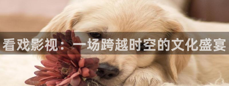 大海影视下载最新免费版